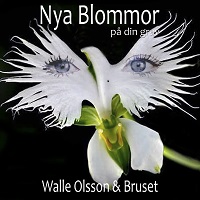 WALLE OLSSON
