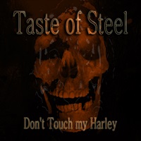 TASTE OF STEEL