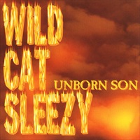 WILD CAT SLEAZY
